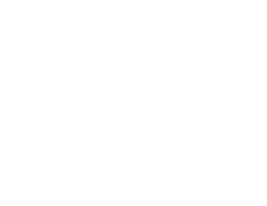 dedalus_consulting